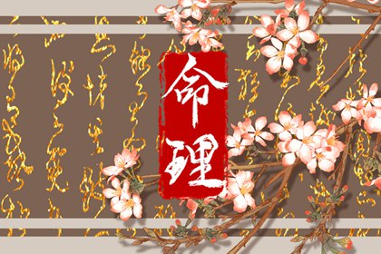 测算紫薇命盘|倪师紫微斗数|紫微起名打分|紫微双人免费合盘|紫微斗数合婚配对